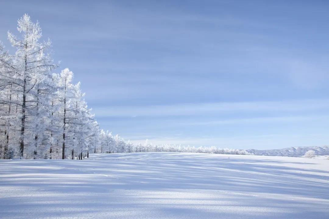 今日大雪!品讀雪中意境!